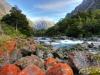 Hollyford Scenery